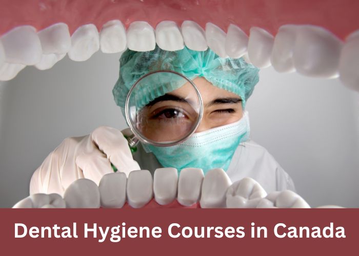 Dental Hygiene Courses in Canada