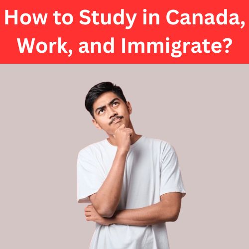 How to Study in Canada, Work, and Immigrate